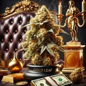 Gold Leaf Feminised Seeds — product photo