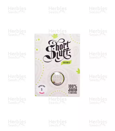 Auto Yeti Seeds — product photo