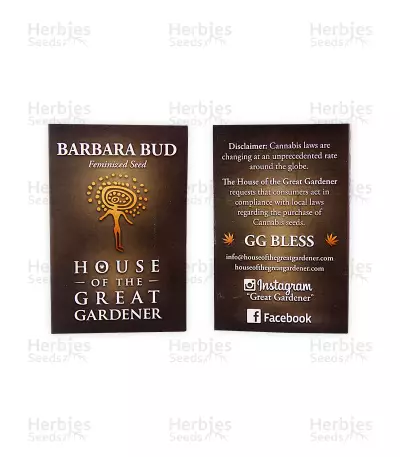 Barbara Bud (House of the Great Gardener Seeds) — product photo