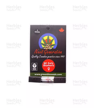 BC Early Blueberry Seeds — product photo