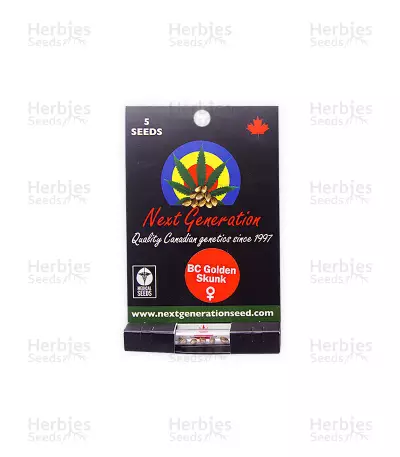 BC Golden Skunk Seeds — product photo