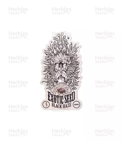 Black Haze Seeds — product photo