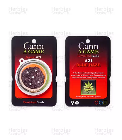 Blue Haze Seeds — product photo