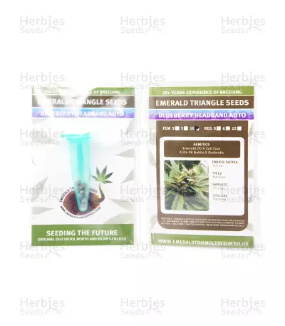 Blueberry Headband Seeds — product photo