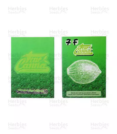 Broad Leaf Black Seeds — product photo