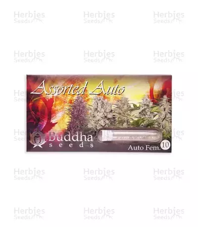 Buddha Assorted Seeds (Buddha Seeds) — product photo