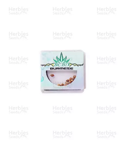 Burmese Seeds — product photo