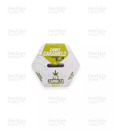 Candy Caramelo Fast Flowering Seeds — product photo