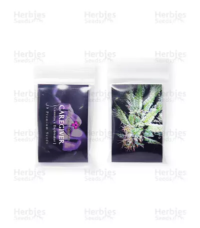 Caregiver Seeds (Gage Green Group) — product photo