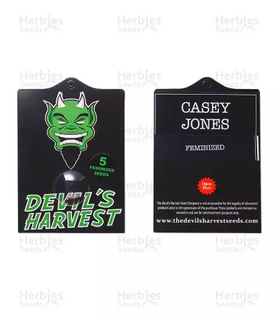 Casey Jones Seeds — product photo