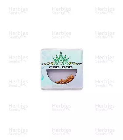 CBD God Seeds — product photo