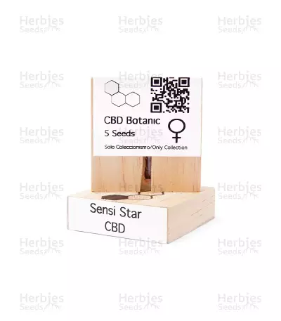 CBD Sensi Star Seeds — product photo