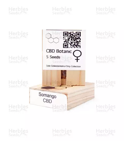 CBD Somango Seeds — product photo