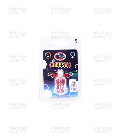 Cheesus Seeds — product photo