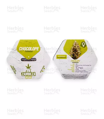 Choco Candy (Chocolope) Seeds — product photo