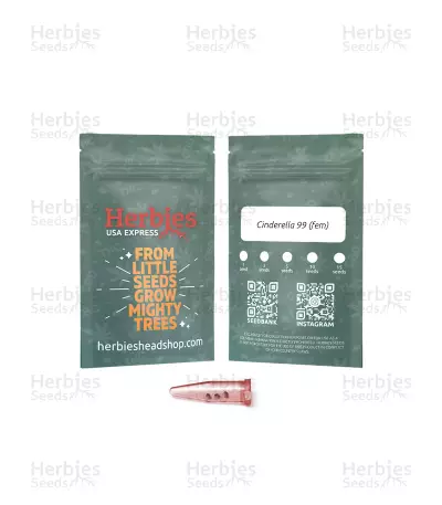 Cinderella99 (Herbies Seeds) — product photo