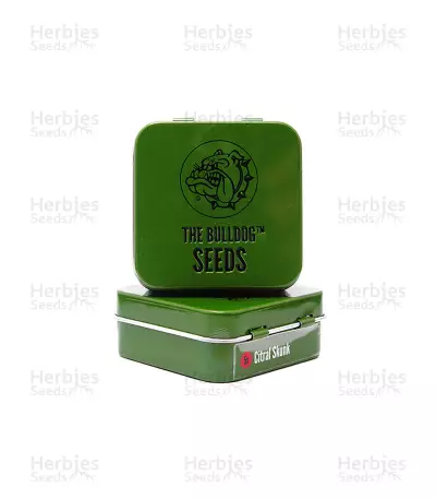 Citral Skunk Seeds — product photo
