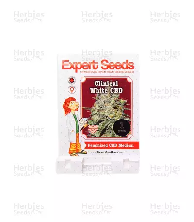 Clinical White CBD (Expert Seeds) Seeds — product photo