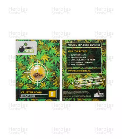 Cluster Bomb Seeds — product photo