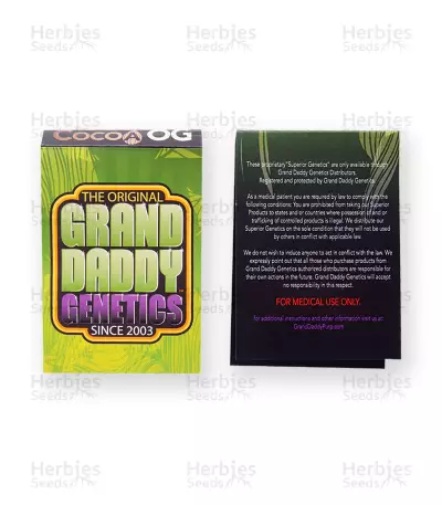 Cocoa OG Seeds — product photo