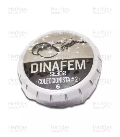 Pack Coleccionista №2 Seeds — product photo