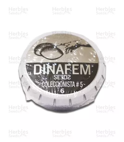 Pack Coleccionista №5 Seeds — product photo
