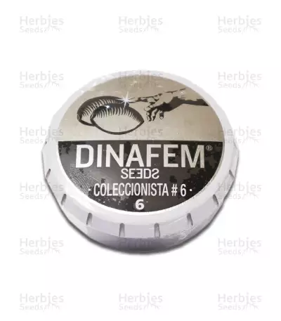 Pack Coleccionista №6 Seeds — product photo