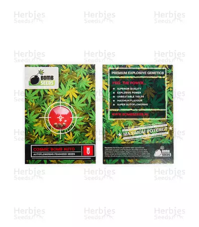 Cosmic Bomb Auto Seeds — product photo