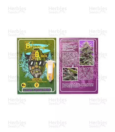 Cream Crystal Meth Seeds — product photo