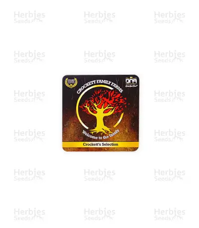 Crockett's Haze Seeds — product photo
