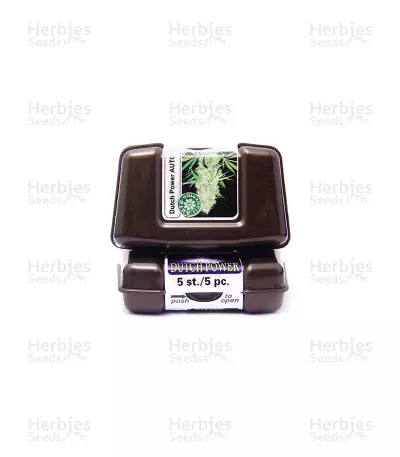Dutch Power Auto Seeds — product photo