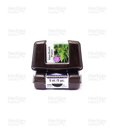 Dutch Power Seeds — product photo