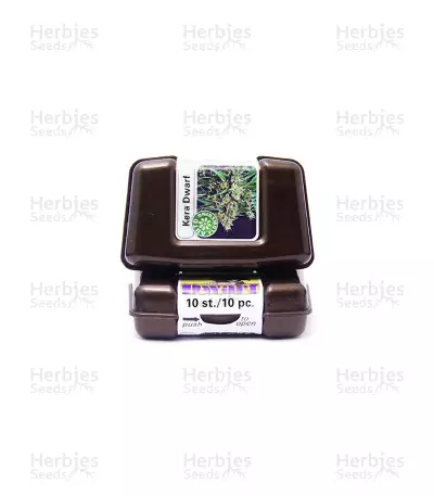 Dwarf Seeds (Kera Seeds) — product photo