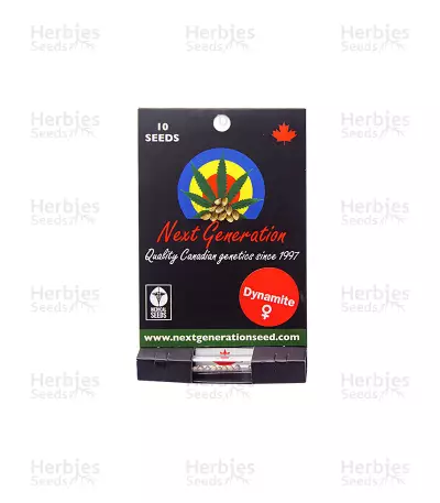 Dynamite Seeds — product photo