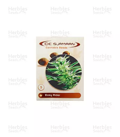 Easy Ryder Seeds — product photo