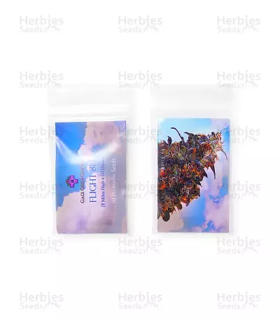 Flight 813 — product photo