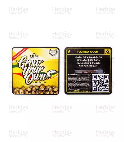 Florida Gold feminized seeds — product photo