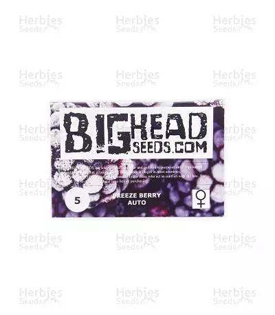 Freeze Berry Auto — product photo
