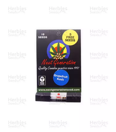 Grapefruit Kush — product photo