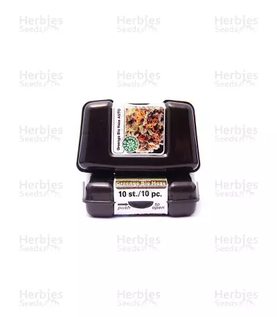 Greengo Bio Haze Auto — product photo